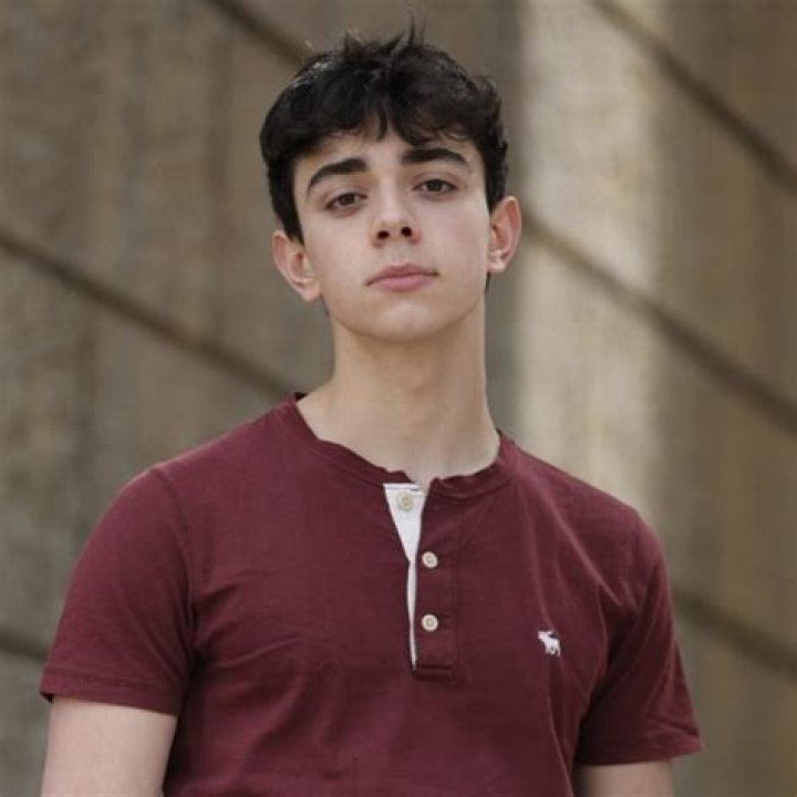 Adrian Popescu (YouTube Star) - Age, Birthday, Bio, Facts, Family, Net Worth, Height & More