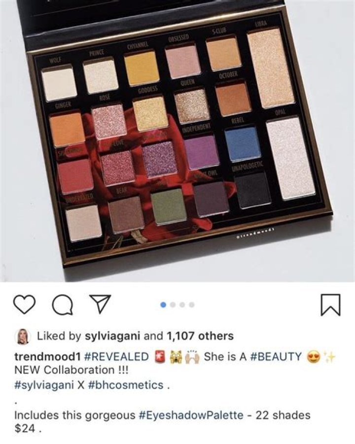 Beauty Influencer Sylvia Gani Says Her New BH Cosmetics Collab Palette Is Perfect ‘For Everybody’ (EXCLUSIVE)