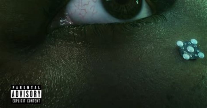 Bktherula "LVL5 P2" Review