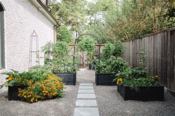 Can you use Miracle Grow on butterfly bushes?