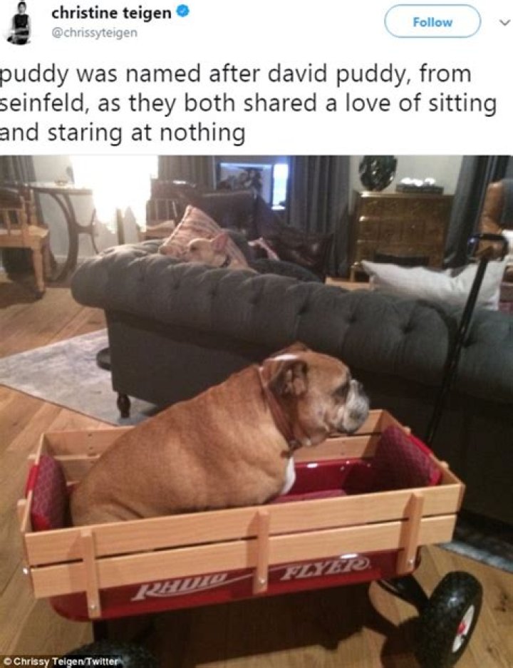 Chrissy Teigen’s “Heart Aches” After Saying Goodbye to Sweet Bulldog Puddy