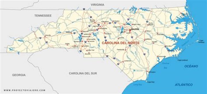 ¿Cuál es la araña más común en Carolina del Norte? – Celebrity.fm
