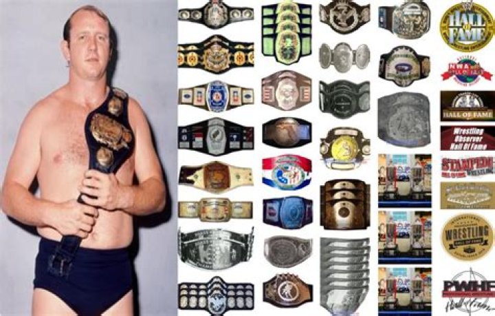 Dory Funk Jr. (Wrestler) - Age, Birthday, Bio, Facts, Family, Net Worth, Height & More