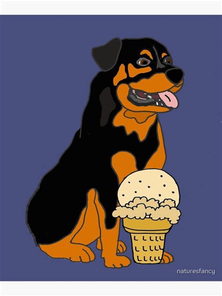 ¿El helado para perros de Ben y Jerry es seguro para los perros? – Celebrity.fm