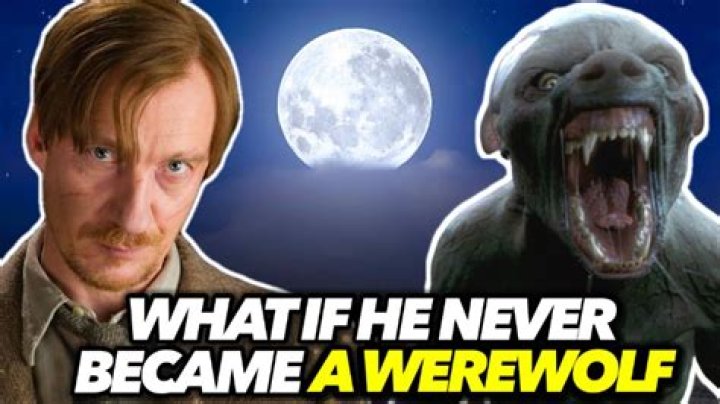 How did Lupin become a werewolf? – Celebrity.fm – #1 Official Stars, Business & People Network, Wiki, Success story, Biography & Quotes