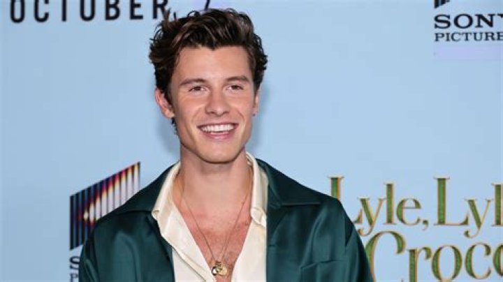 How did Shawn Mendes learn to play piano? – Celebrity.fm – #1 Official Stars, Business & People Network, Wiki, Success story, Biography & Quotes