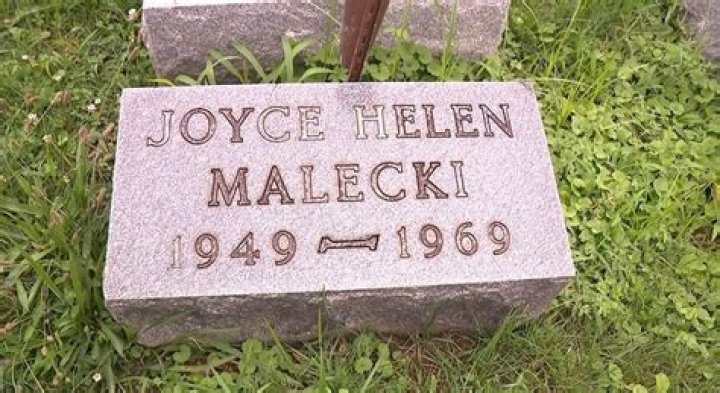 John Malecki Biography, Age, Height, Wife, Net Worth, Family