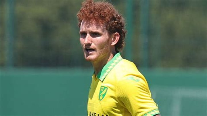 Josh Sargent biografía, edad, altura, esposo, net worth, familia