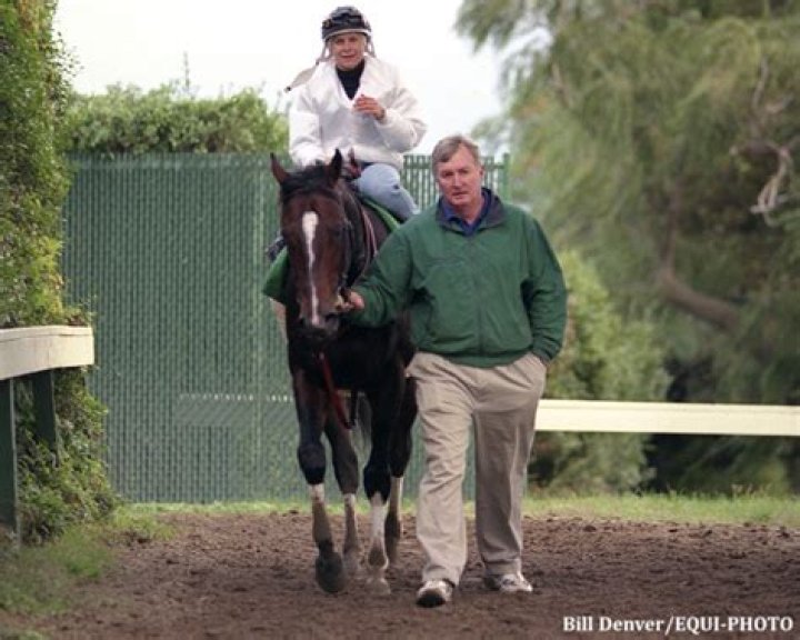 Julie Krone (Horse Jockey) - Age, Birthday, Bio, Facts, Family, Net Worth, Height & More