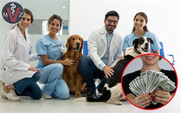 ¿Los veterinarios ganan buen dinero? – Celebrity.fm