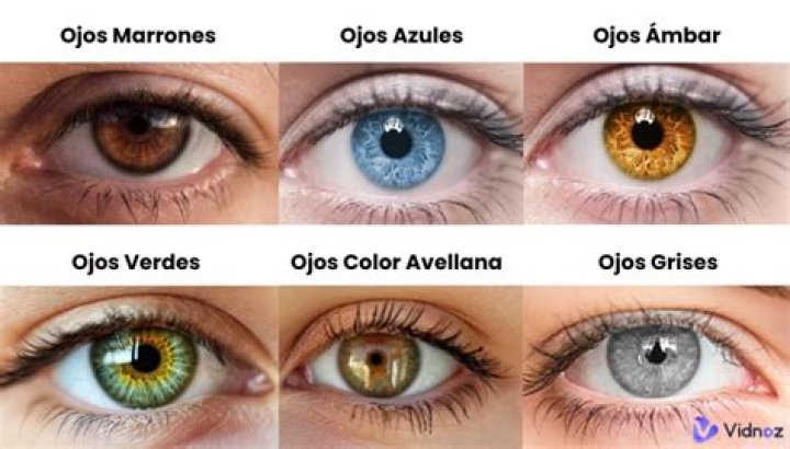 ¿Qué color de ojos son los más atractivos? – Celebrity.fm
