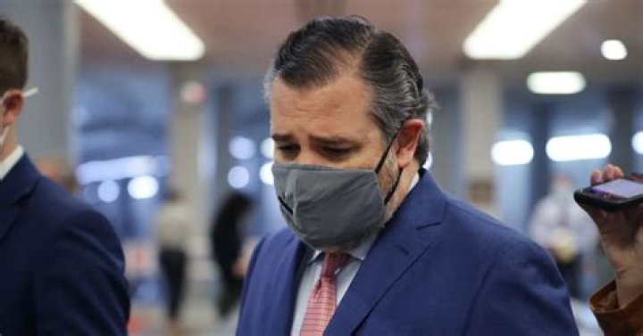 Ted Cruz Abandons Dog In Texas During Cancun Fiasco: Report