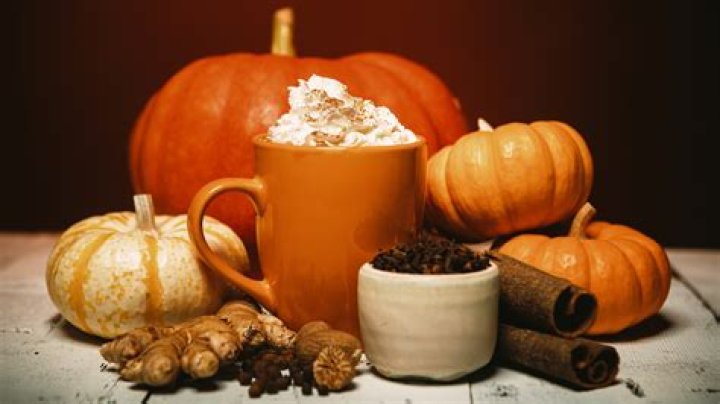 ‘Tis the Season! These Pumpkin Spice Products Are *Actually* Worth Trying This Fall