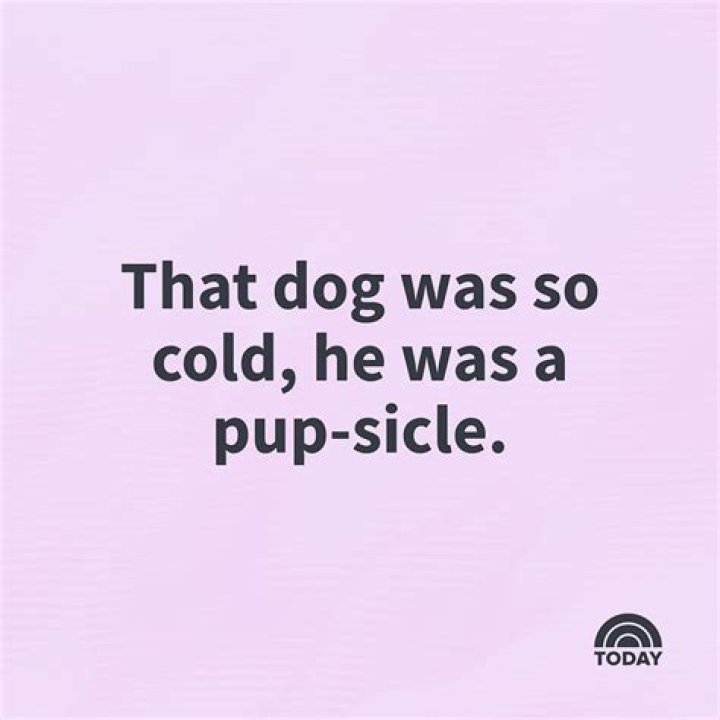 What did the dog represent in Coco? – Celebrity.fm – #1 Official Stars, Business & People Network, Wiki, Success story, Biography & Quotes