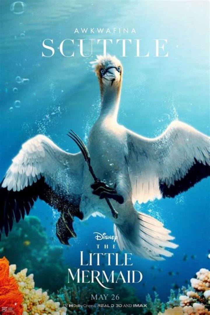 What does the seagull call a fork in Little Mermaid?