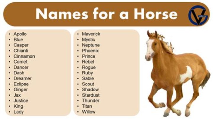 What is a good name for a fire horse?