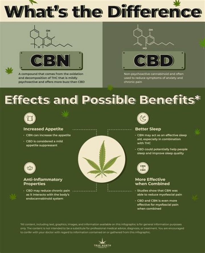 What Is CBN? Uses, Benefits and CBN Products You Should Try This Year