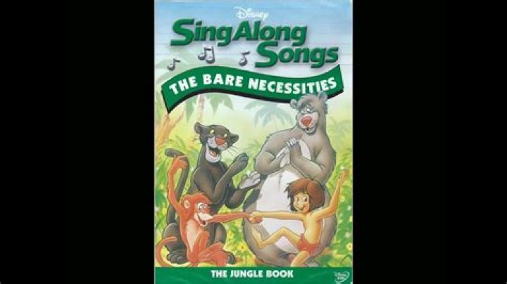 What is the message of the song Bare Necessities?