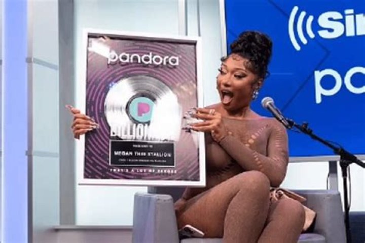 While Visiting Sirius XM W, Megan Thee Stallion Displayed Her Curves In A Transparent Catsuit