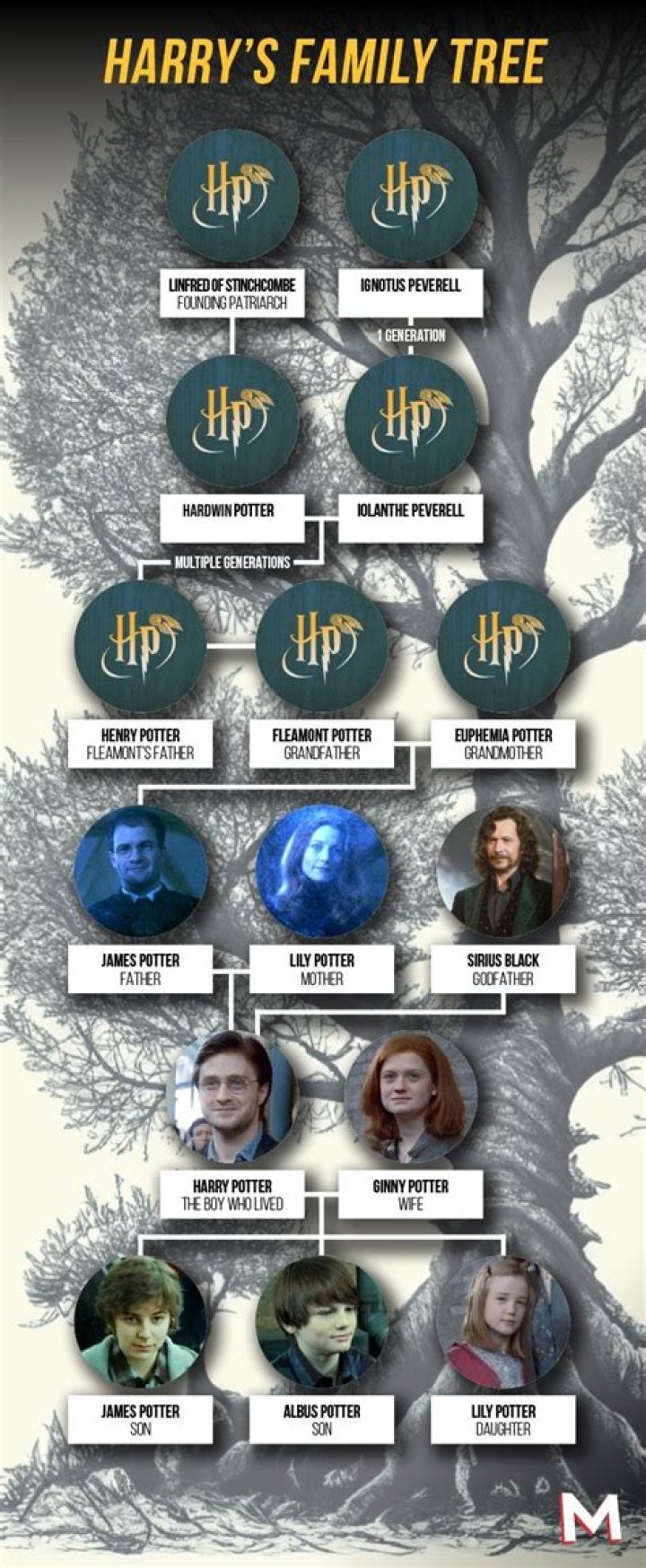 Who is the Peverell family in Harry Potter?