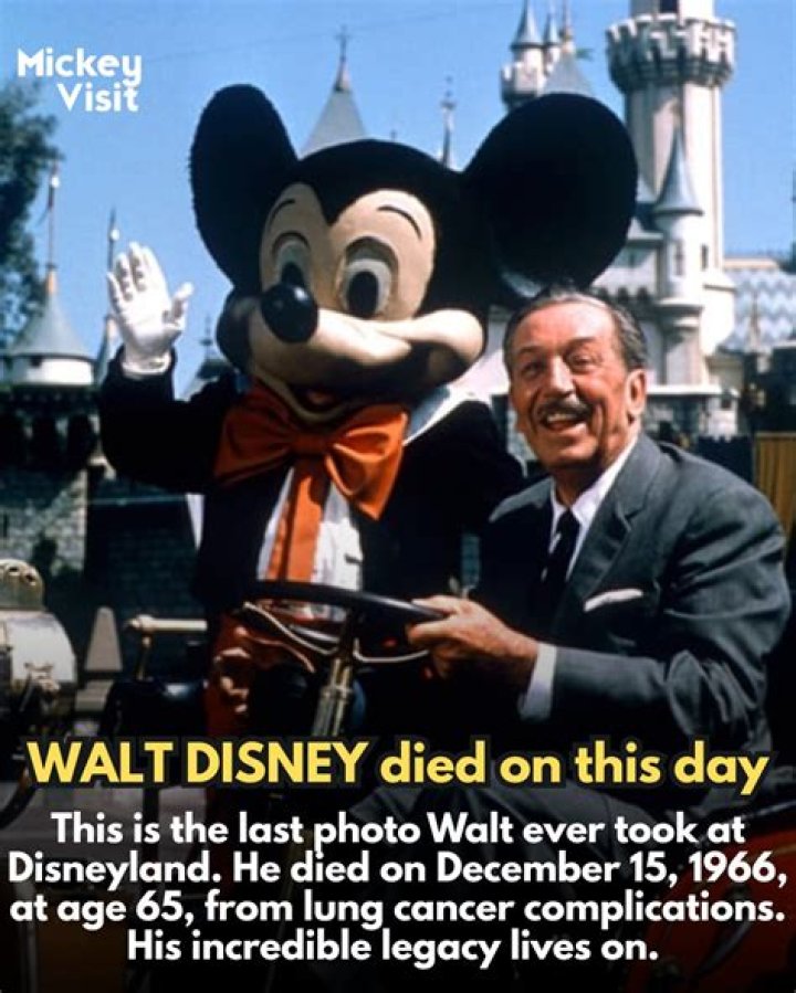 Who took over Disney after Walt died? – Celebrity.fm – #1 Official Stars, Business & People Network, Wiki, Success story, Biography & Quotes