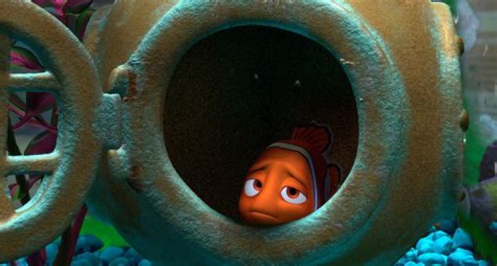 Why is Crush stoned in Finding Nemo?
