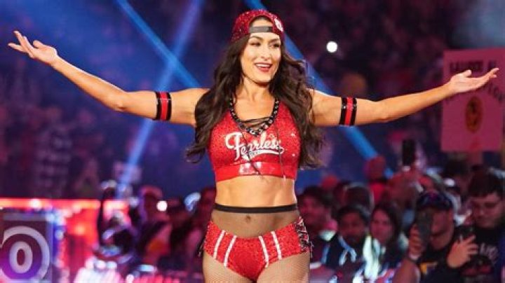 WWE Star Nikki Bella Hopes ‘Dancing With the Stars’ Makes Her Career Even Bigger!